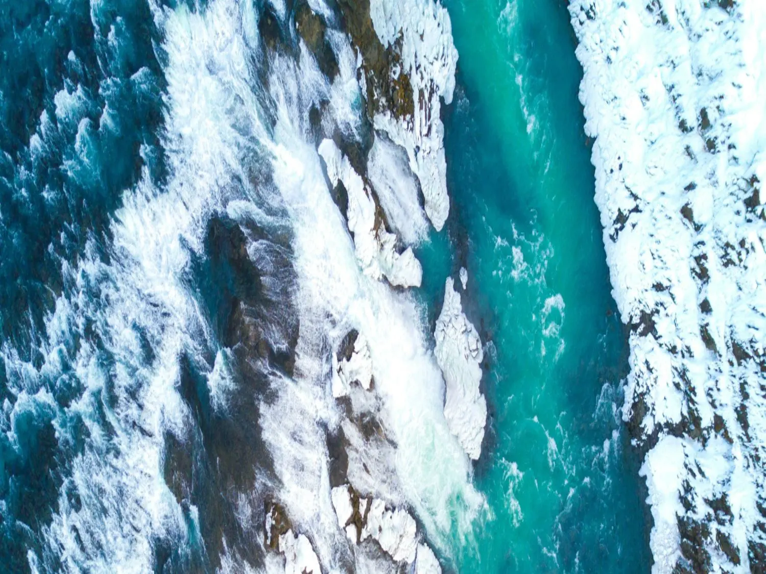 Regenerating Destinations Through Nature Positive Tourism webinar