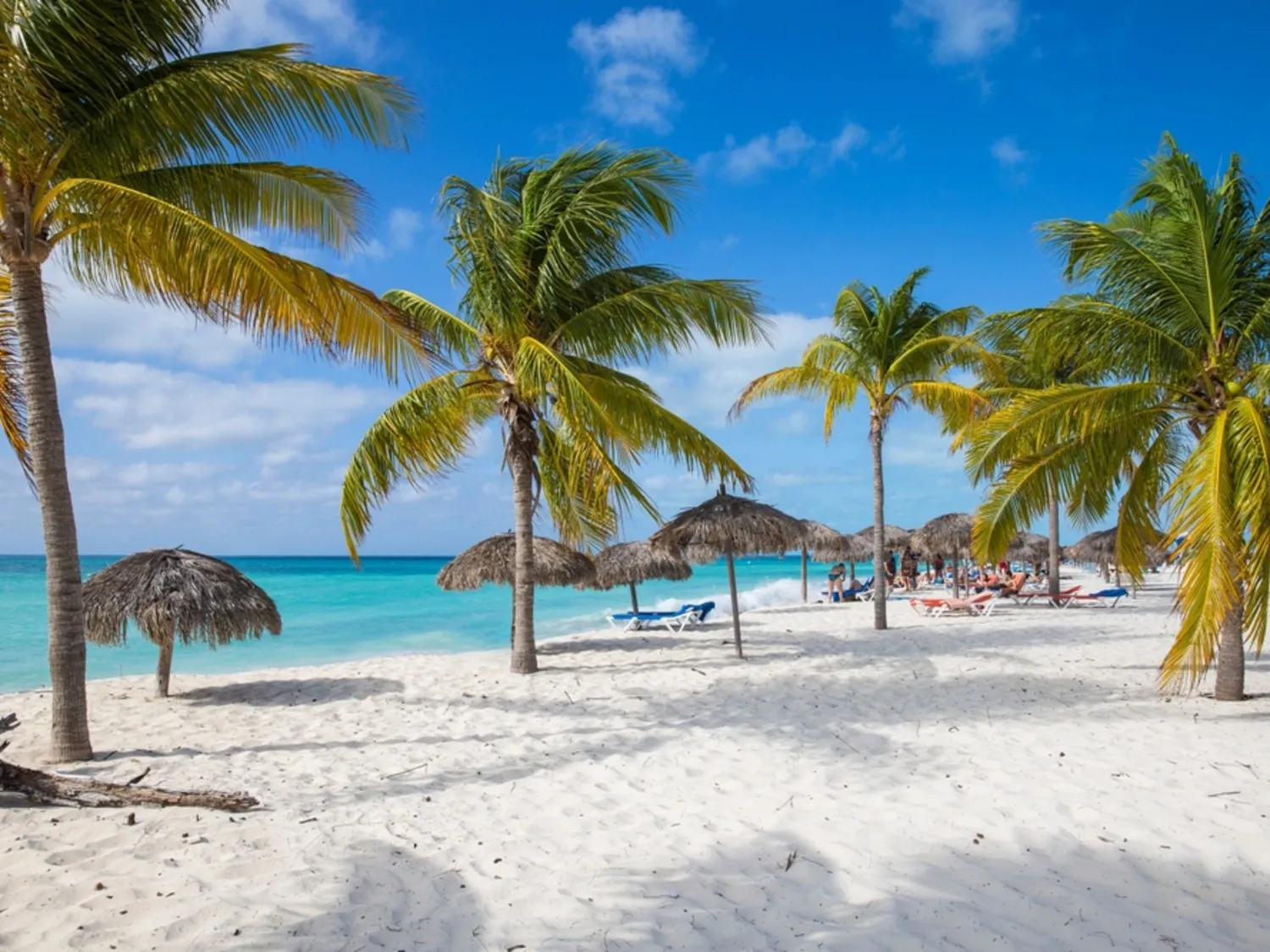 Cayo Largo Cuba caribbean beach
