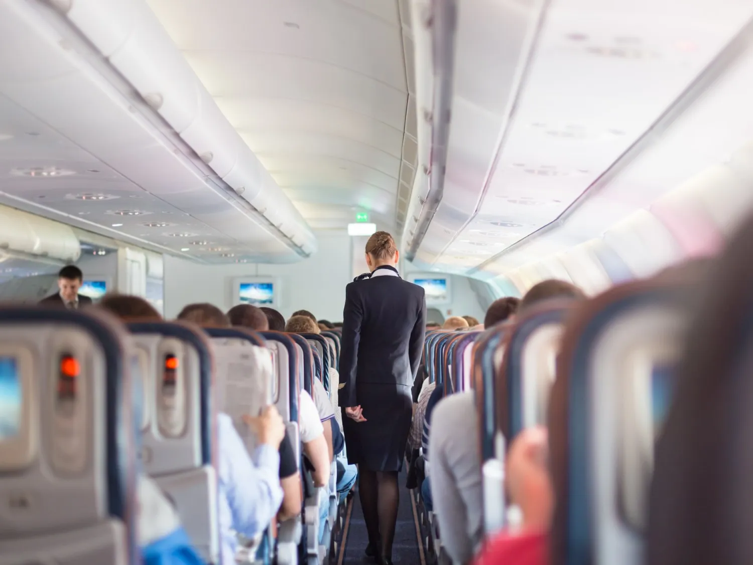 stewardess and passengers in a plane