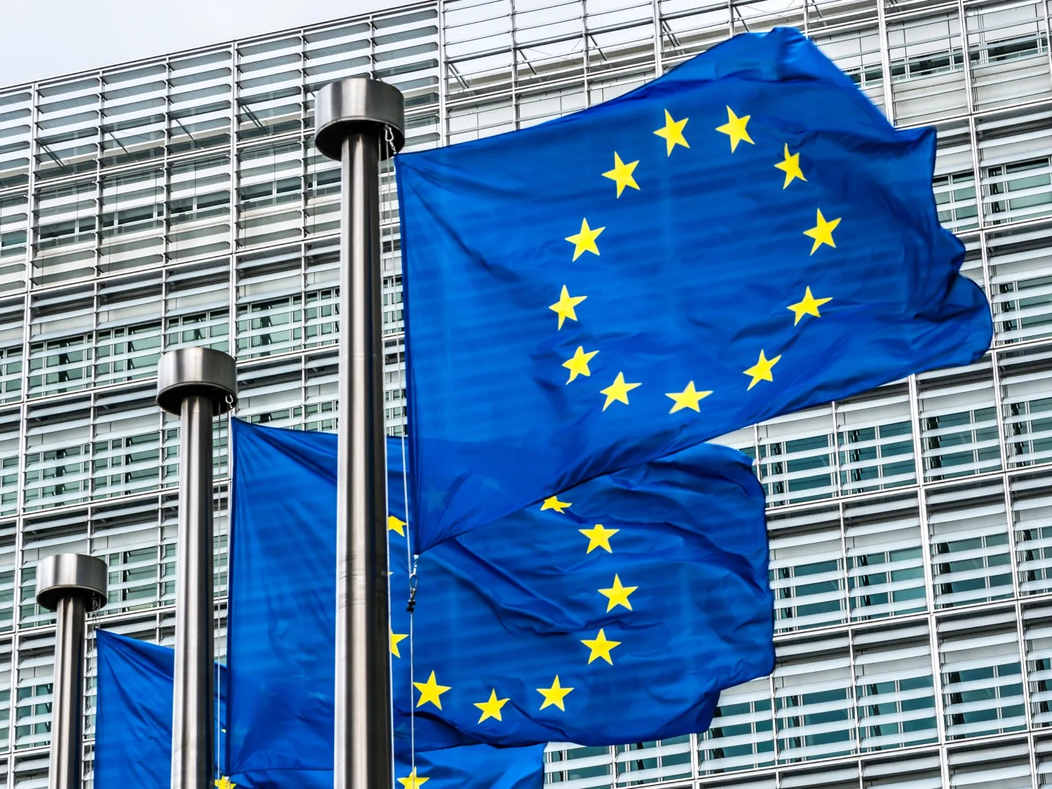 European Union Flags