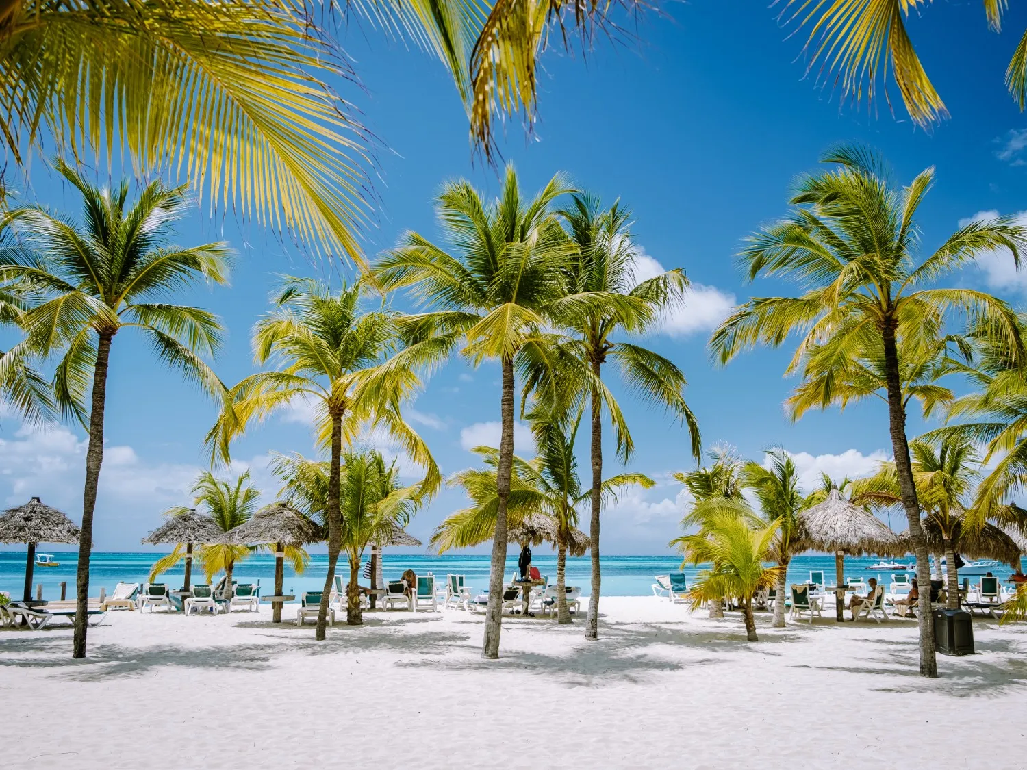 Aruba, Caribbean
