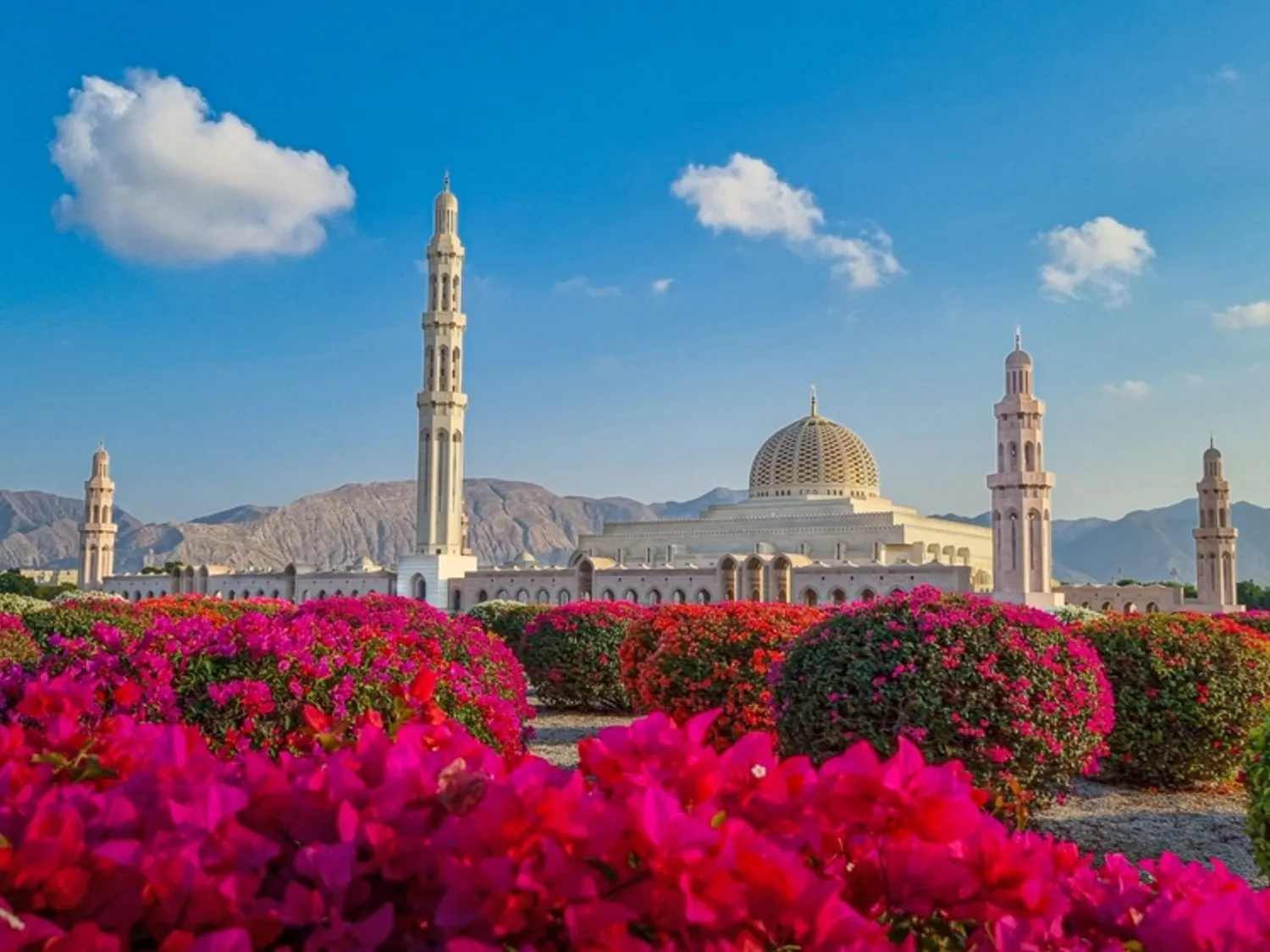 Oman Landscape