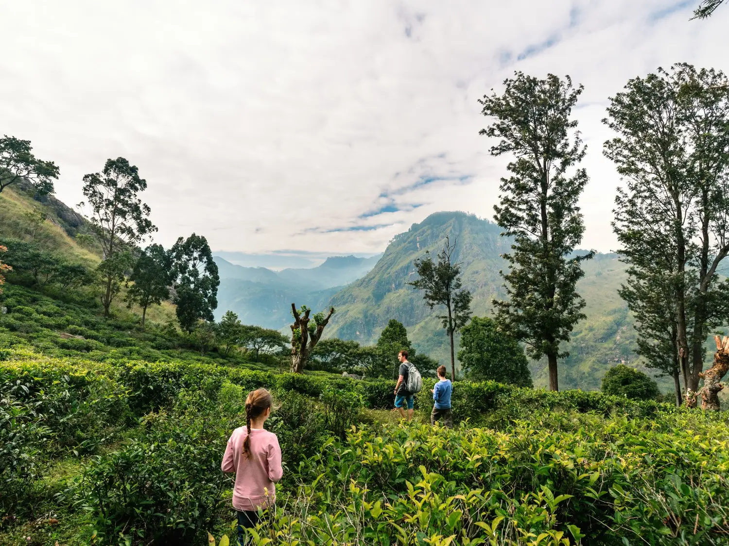 Family exploring Sri Lanka